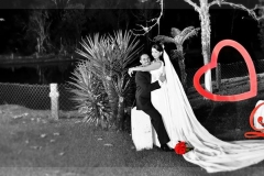 1235476_116327078766432_75524714686243709_n