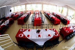 13102730_1178287232183634_5047673326941739128_n