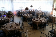 14310549_1273532899325733_7044543188215210426_o