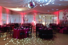 14908258_1324045567607799_8858100425921899504_n