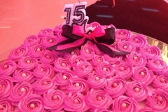 14925620_1324045114274511_83833897593346215_n