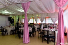 15338835_1232321370217147_7482215554191083044_n